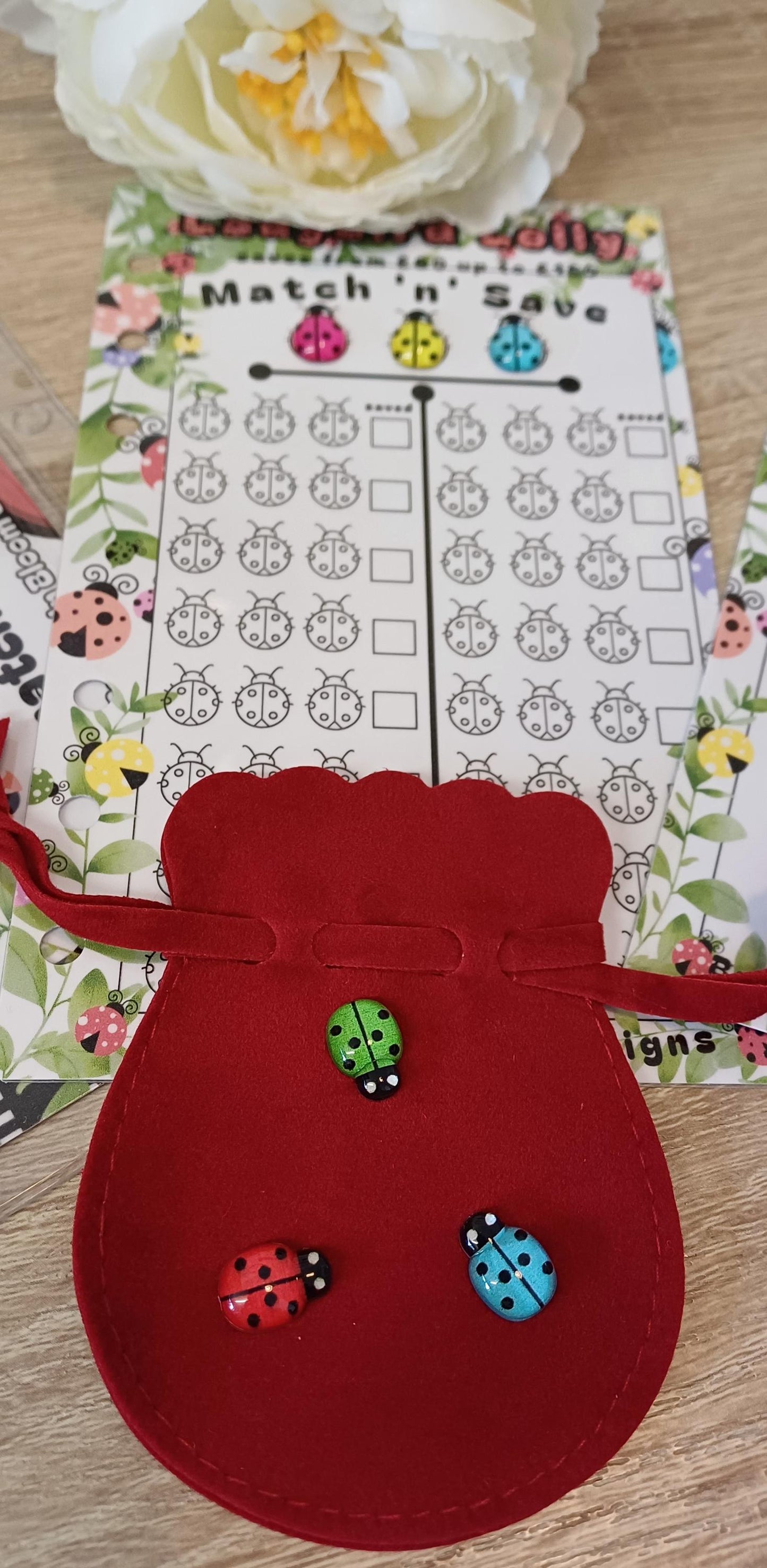 Ladybird Lolly Savings Challenge