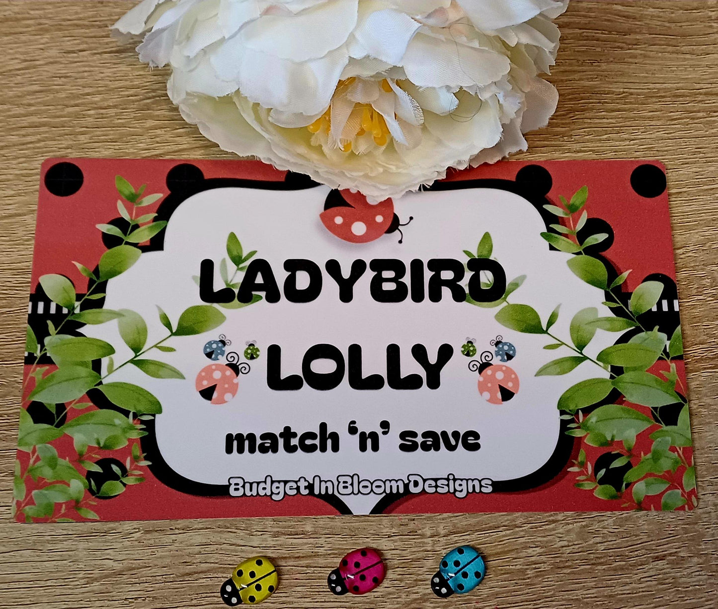 Ladybird Lolly Savings Challenge