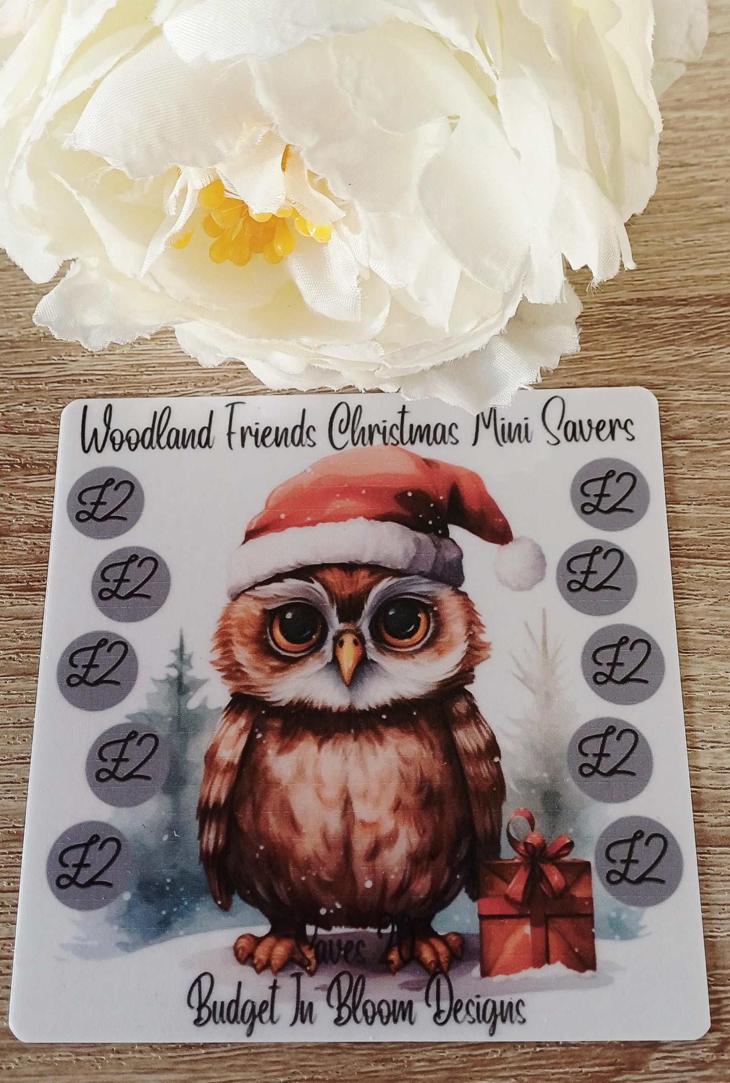 Woodland Friends Christmas Mini Savers Saving Challenge