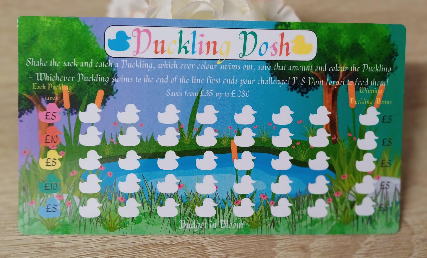 Duckling Dosh Savings Challenge