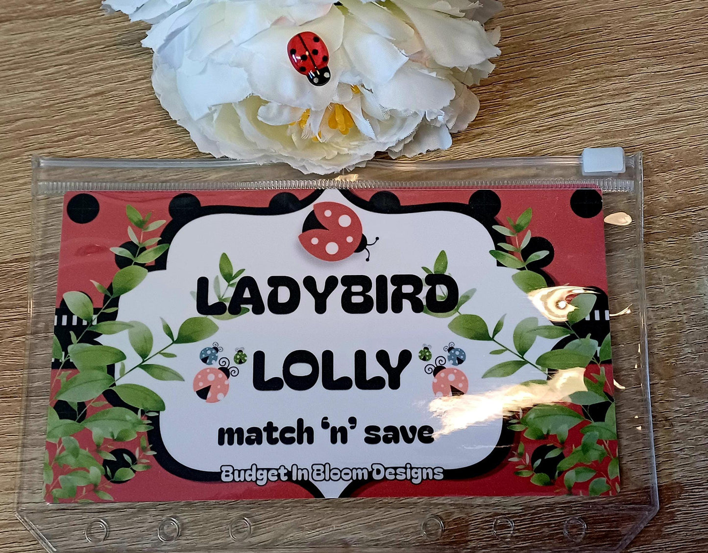 Ladybird Lolly Savings Challenge