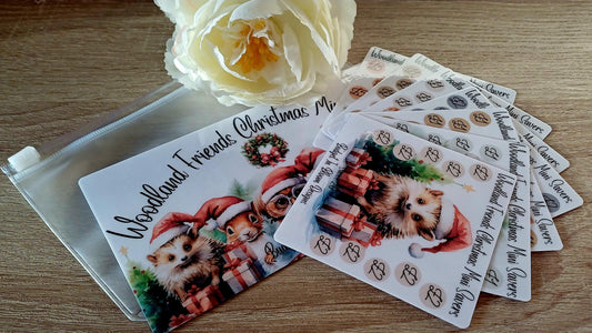 Woodland Friends Christmas Mini Savers Saving Challenge