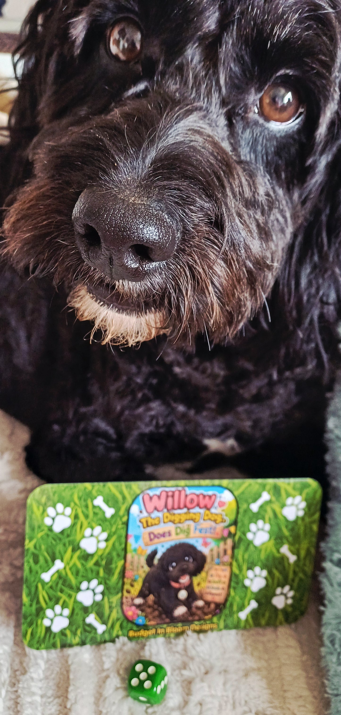 Willow, The Digging Dog, Does Dig Fest Savings Challenge