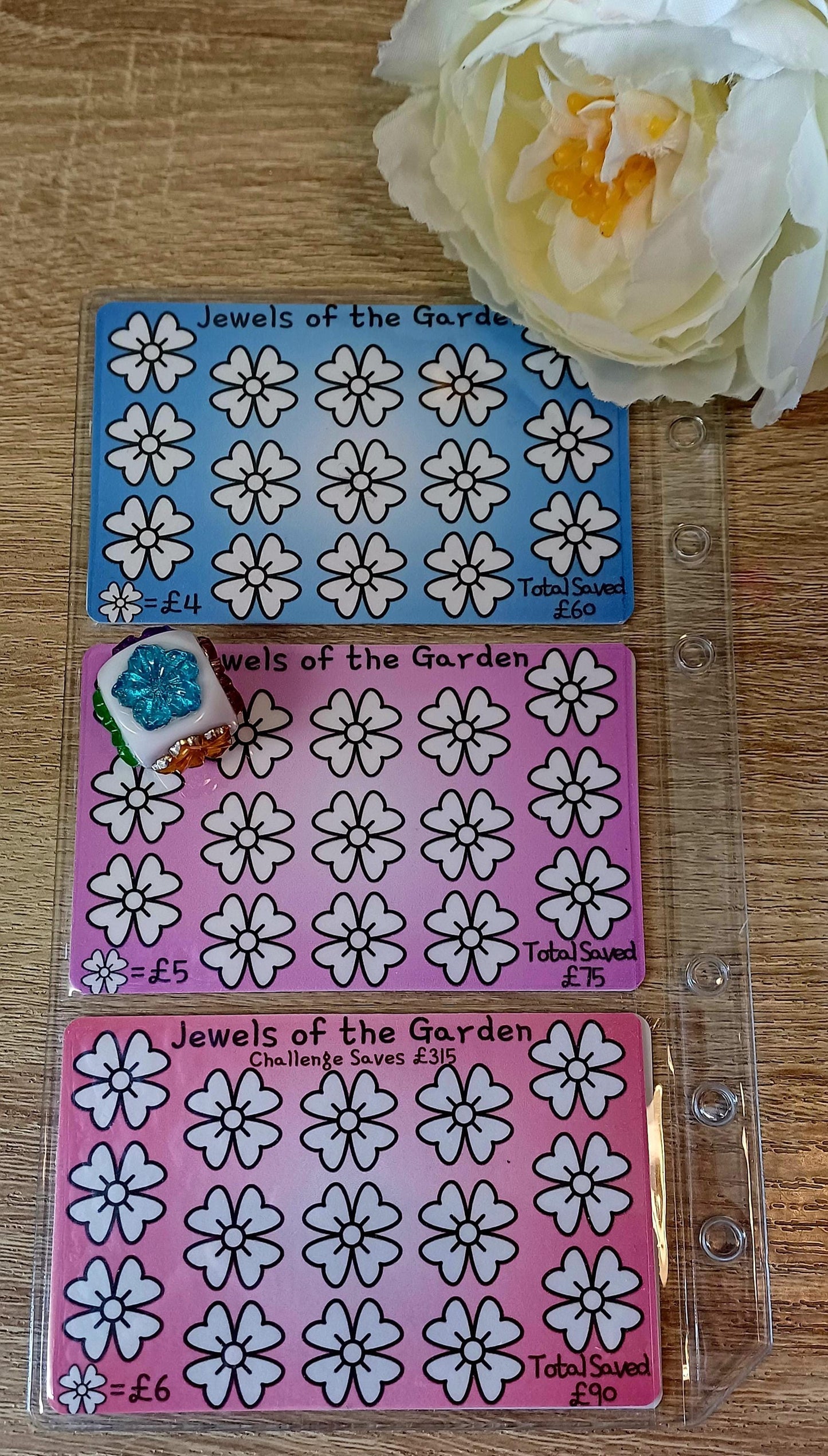 Jewels Of The Garden Savings Challenge