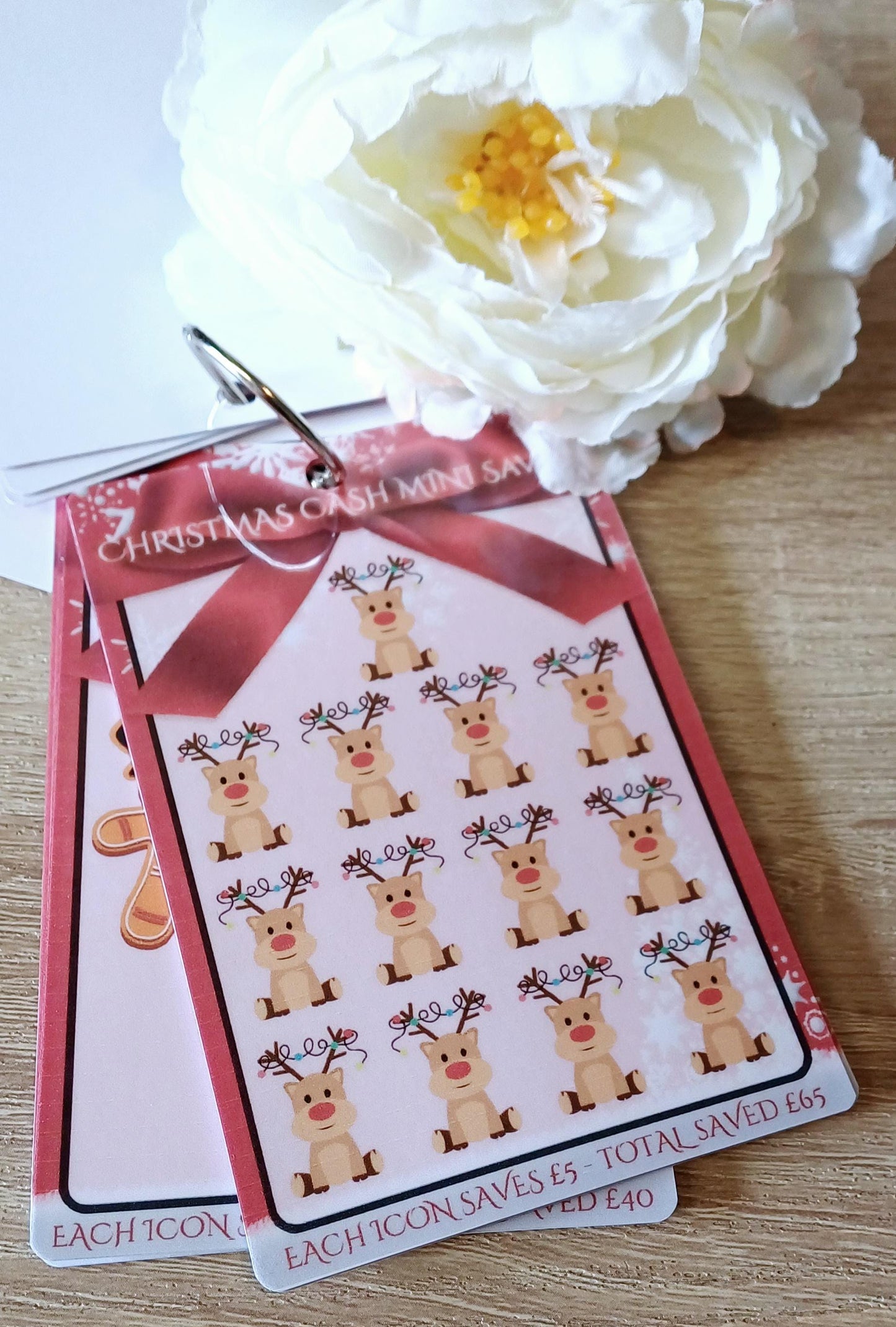 Christmas Cash Mini Savers Set
