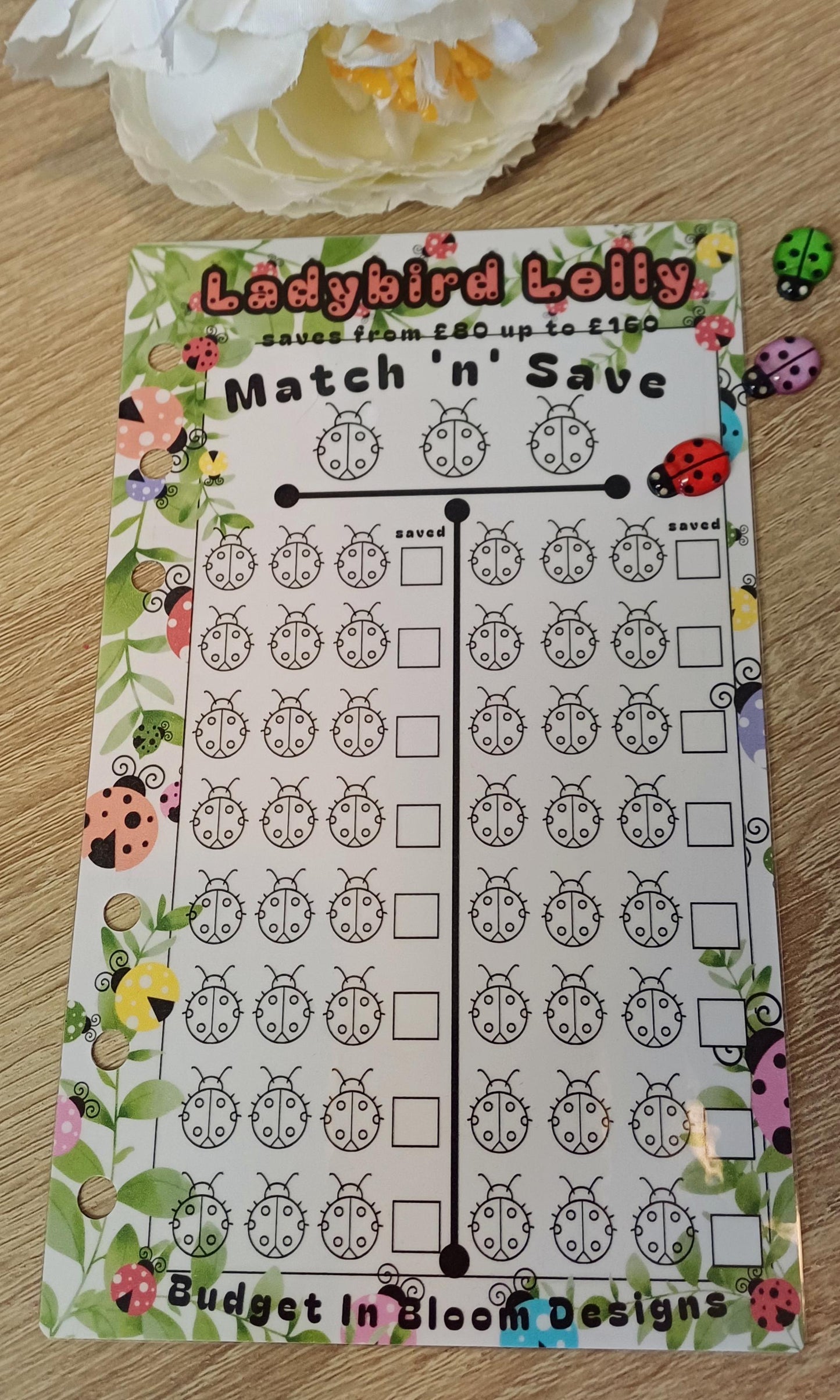 Ladybird Lolly Savings Challenge