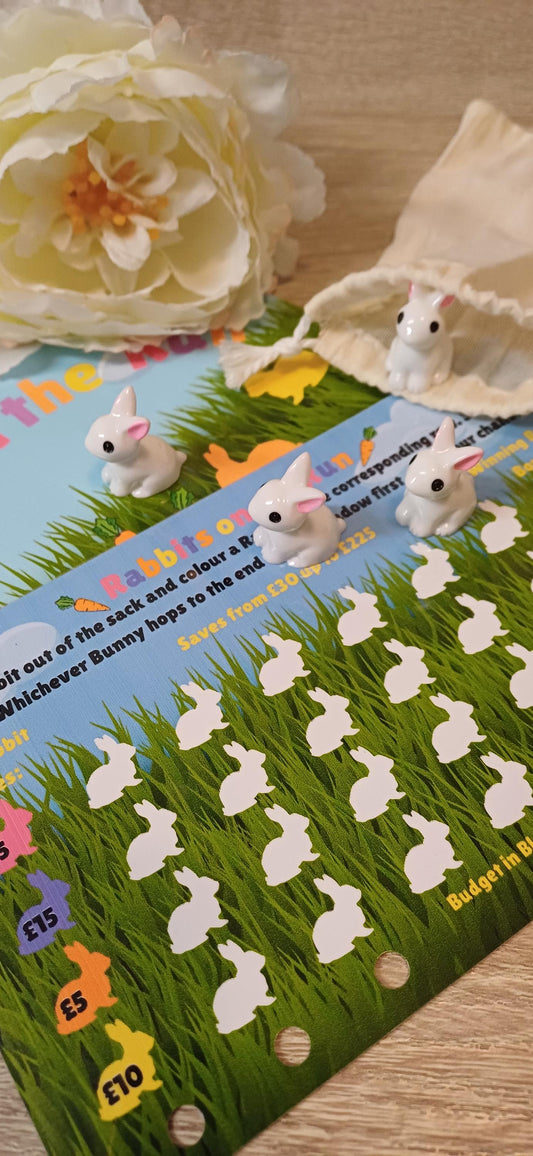 Rabbits On The Run Savings Challenge