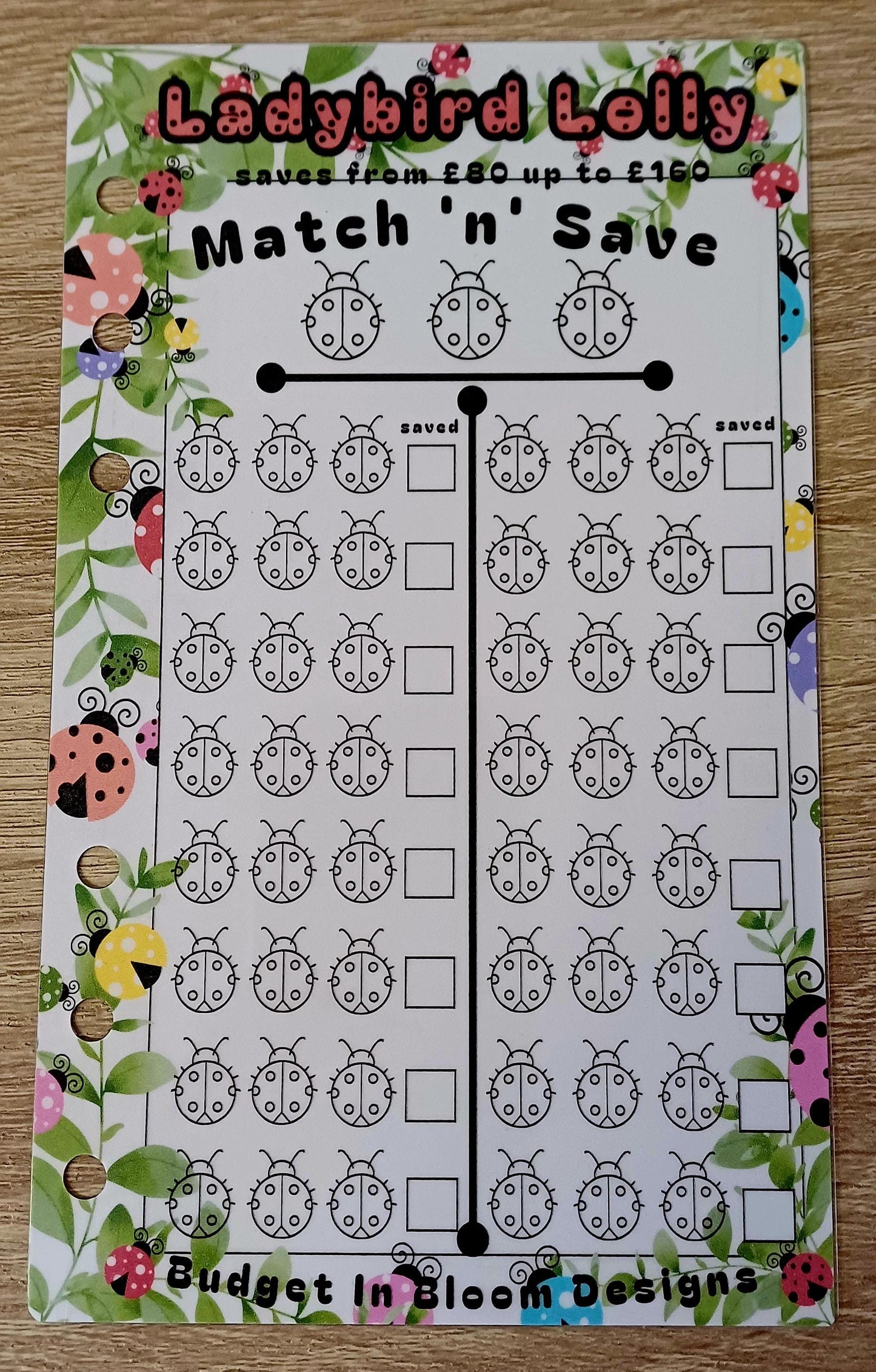 Ladybird Lolly Savings Challenge