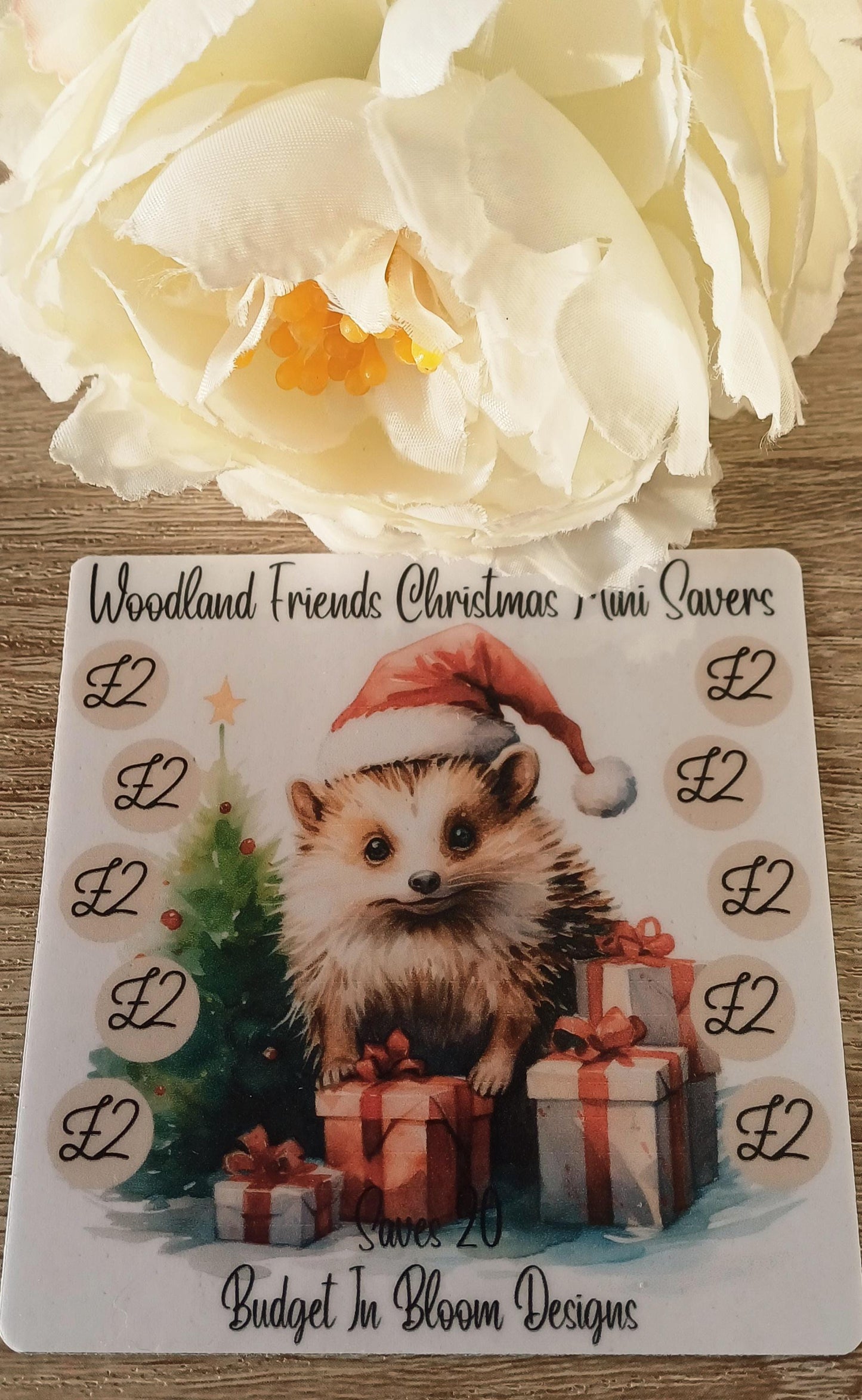 Woodland Friends Christmas Mini Savers Saving Challenge
