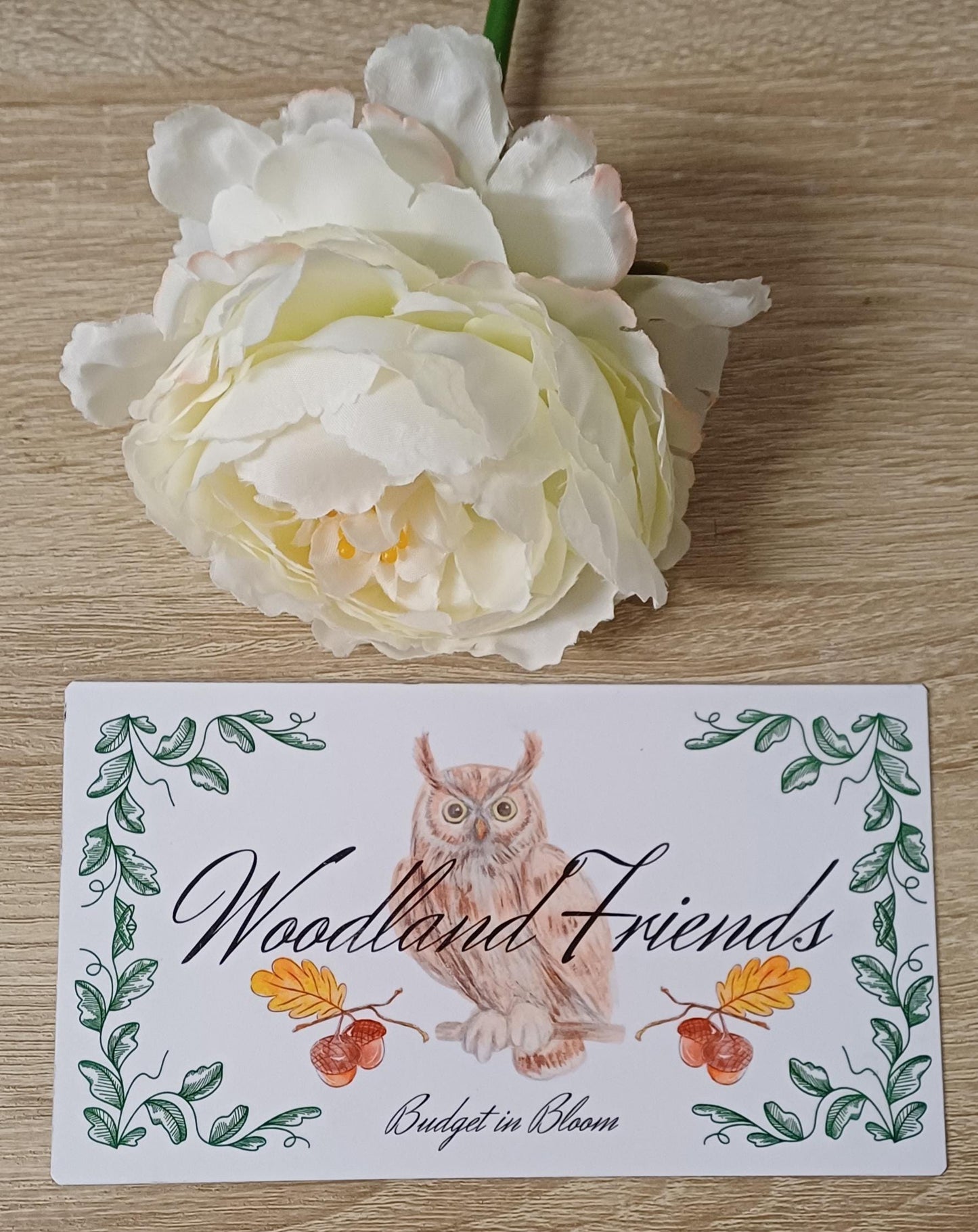 Woodland Friends Savings Challenge