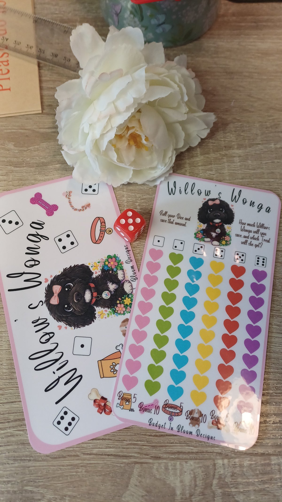 Willow's Wonga Savings Challenge