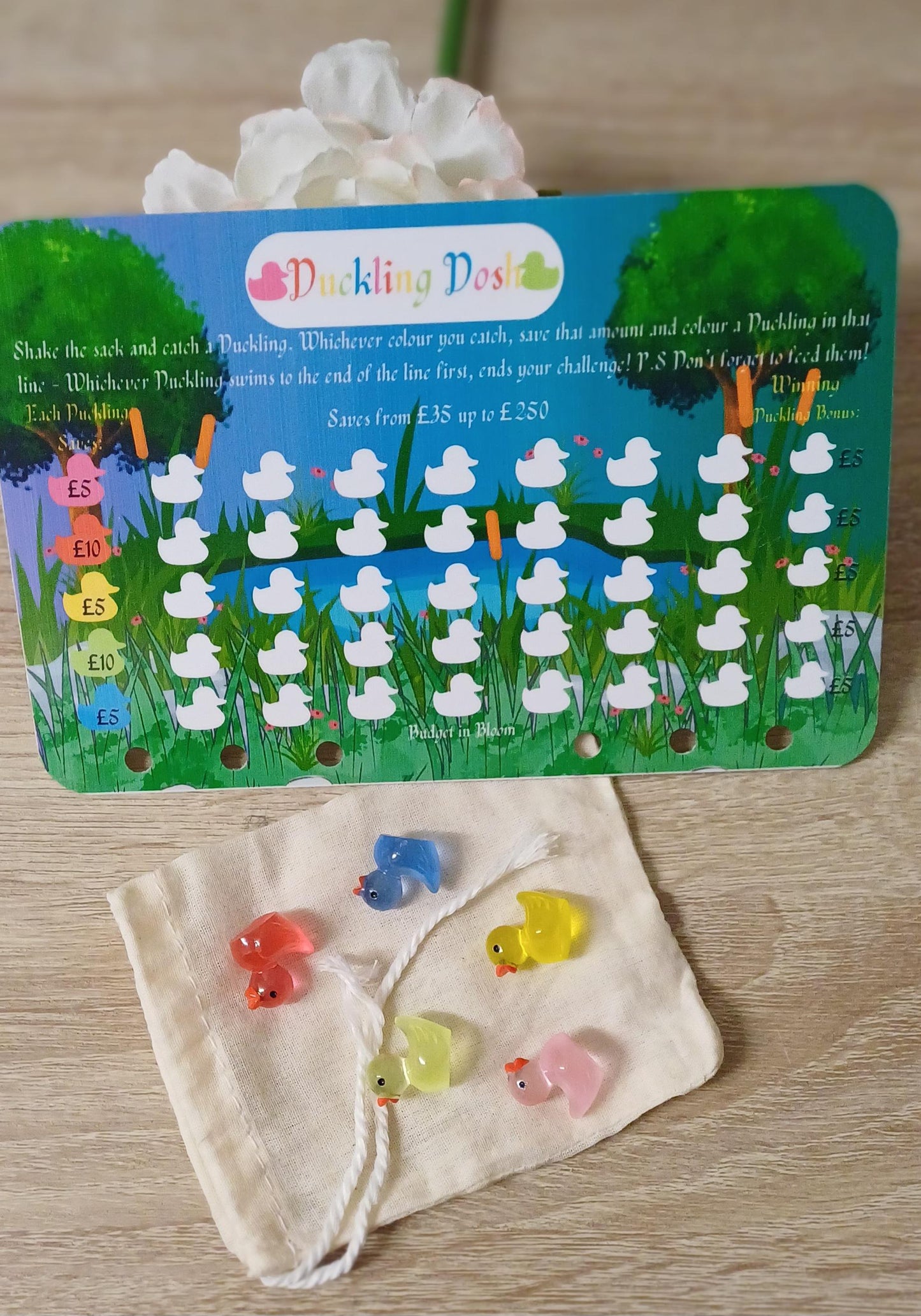Duckling Dosh Savings Challenge