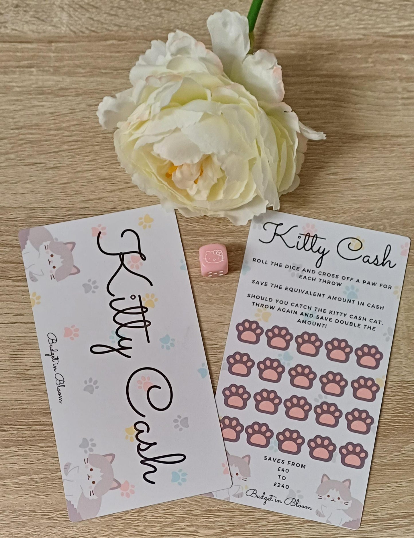 Kitty Cash Savings Challenge