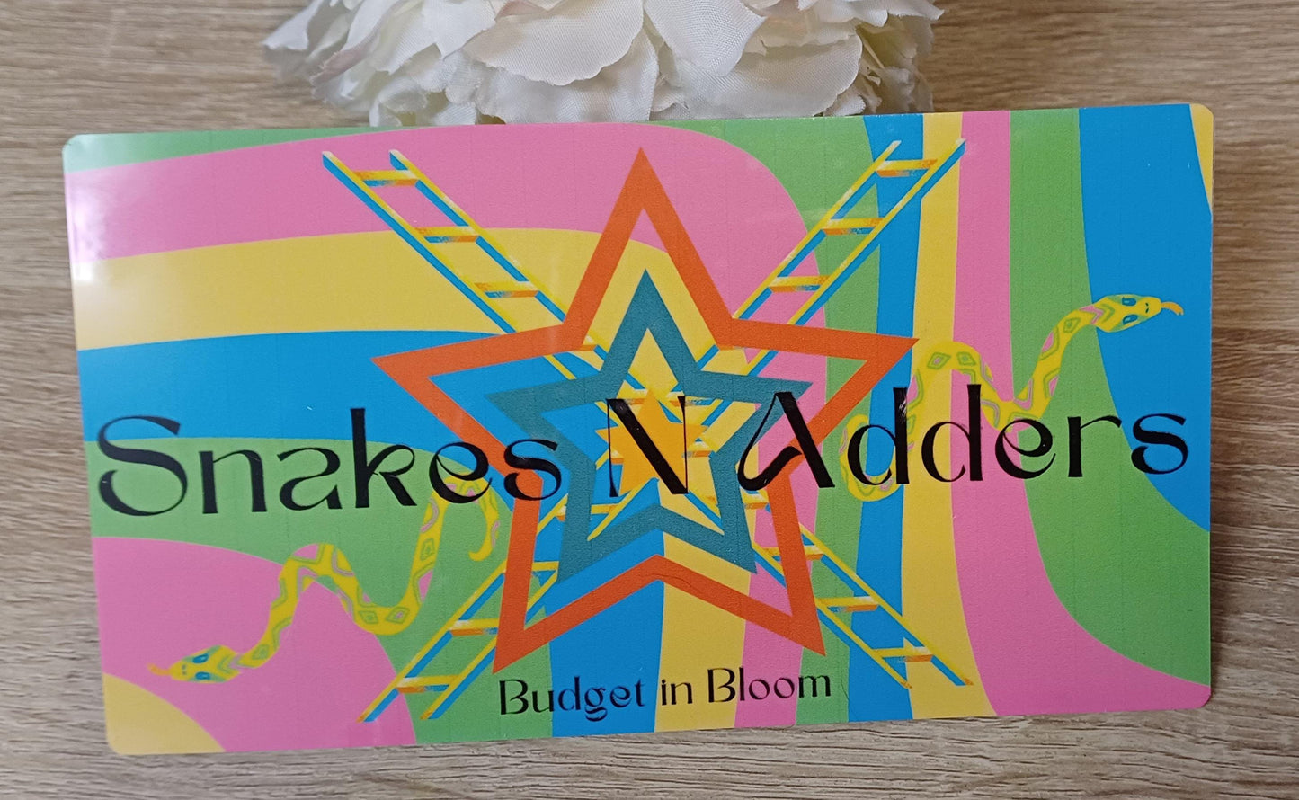 Snakes 'N' Adders Savings Challenge