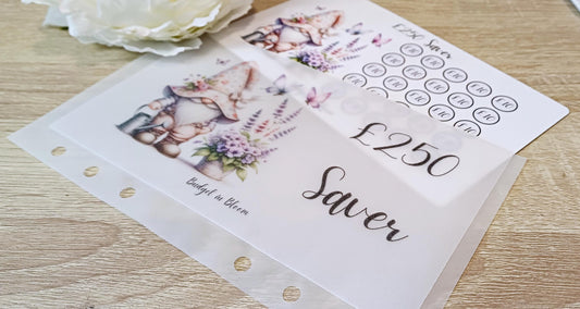 250 Saver Savings Challenge