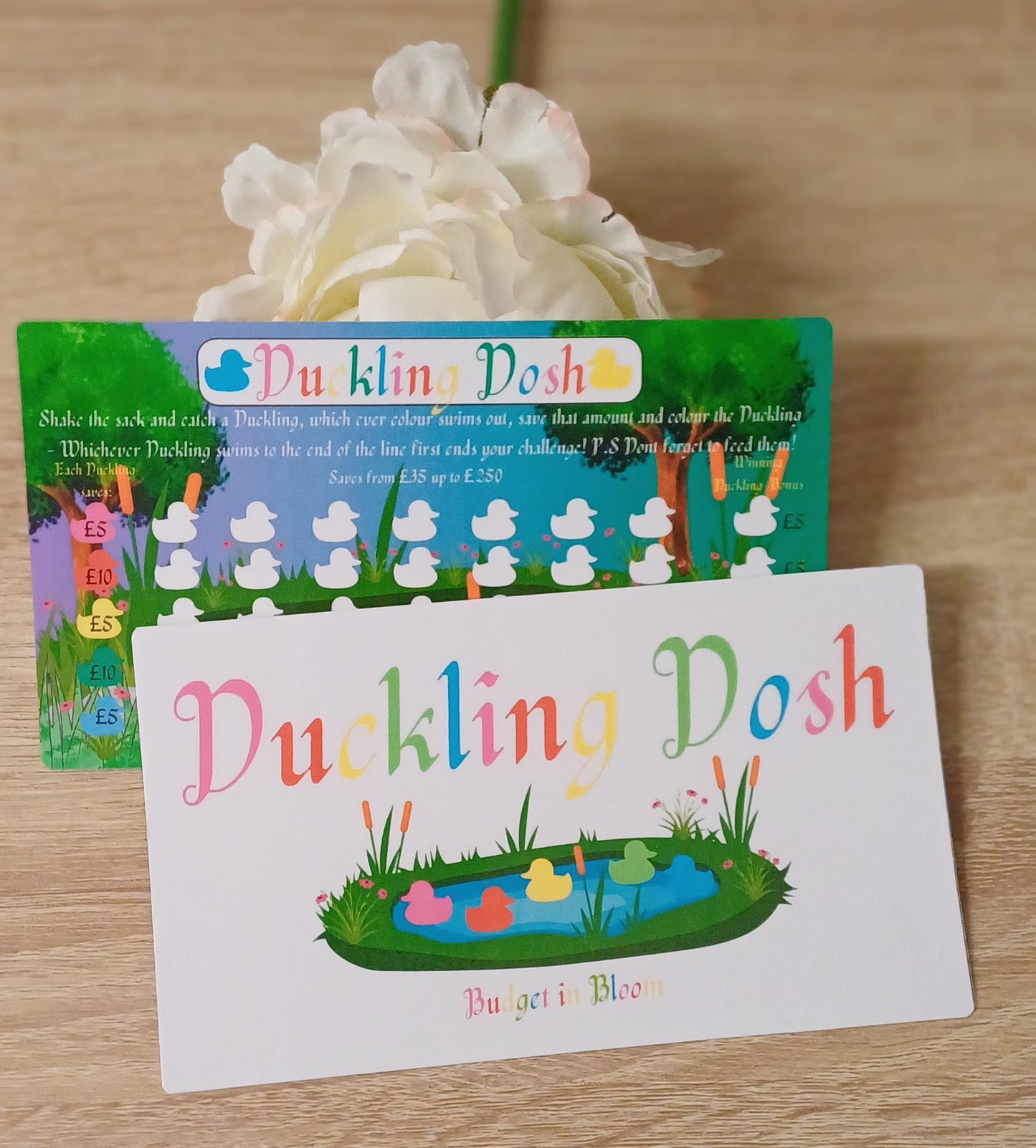 Duckling Dosh Savings Challenge