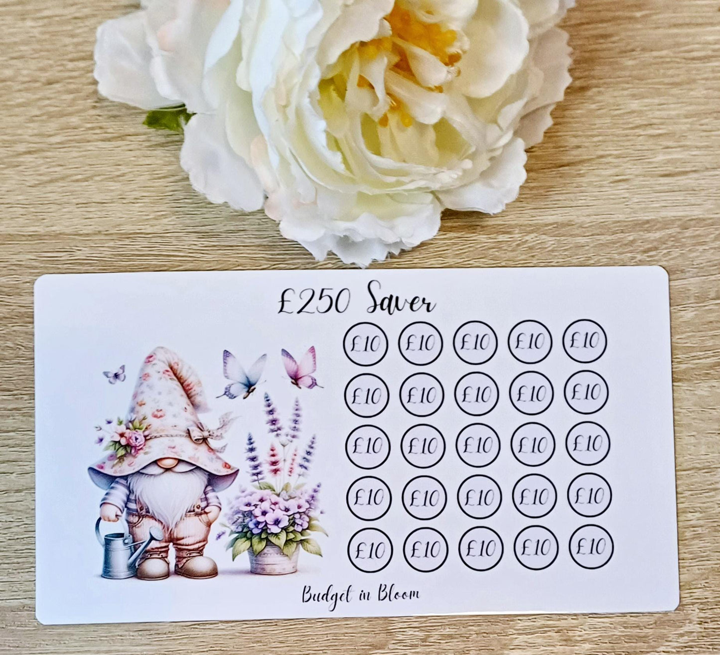 250 Saver Savings Challenge