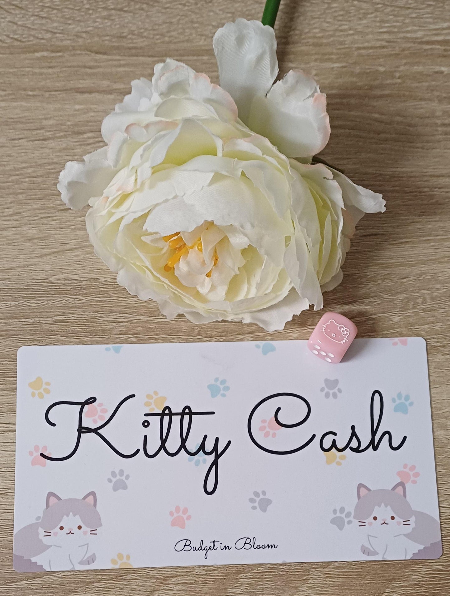 Kitty Cash Savings Challenge