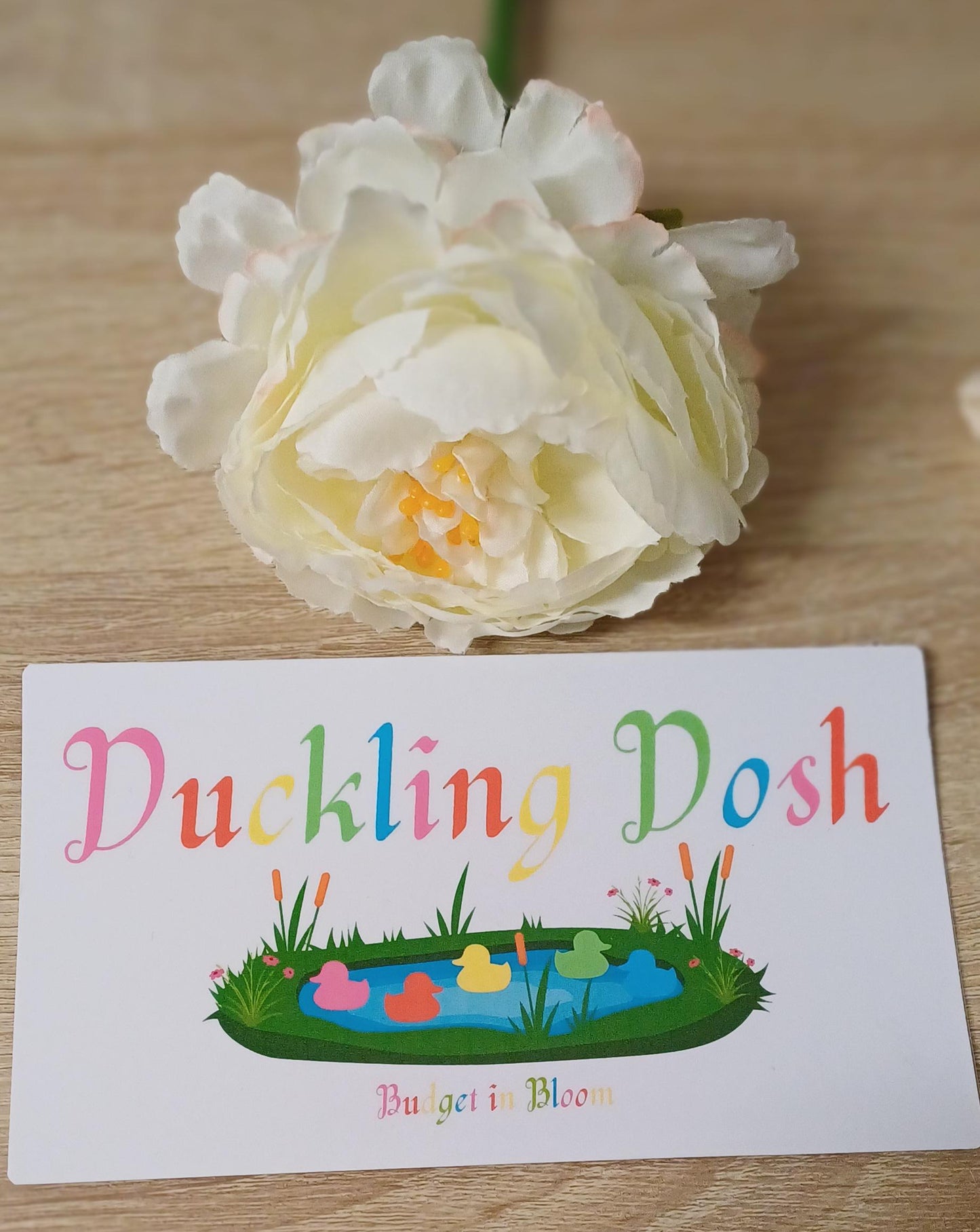 Duckling Dosh Savings Challenge