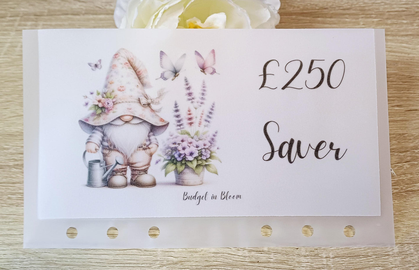 250 Saver Savings Challenge