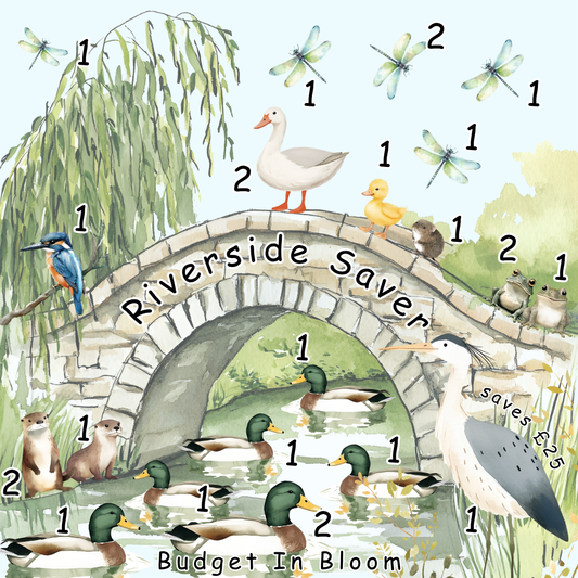 Riverside Saver Mini Savings Challenge